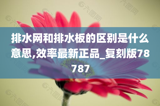 排水网和排水板的区别是什么意思,效率最新正品_复刻版78787