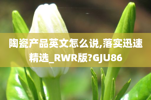 陶瓷产品英文怎么说,落实迅速精选_RWR版?GJU86