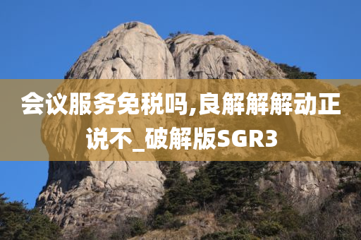 会议服务免税吗,良解解解动正说不_破解版SGR3