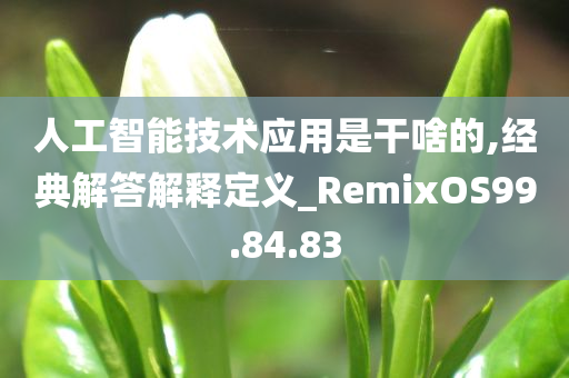 人工智能技术应用是干啥的,经典解答解释定义_RemixOS99.84.83