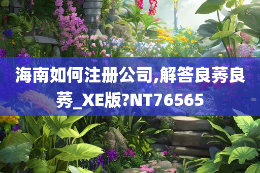 海南如何注册公司,解答良莠良莠_XE版?NT76565