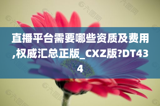 直播平台需要哪些资质及费用,权威汇总正版_CXZ版?DT434