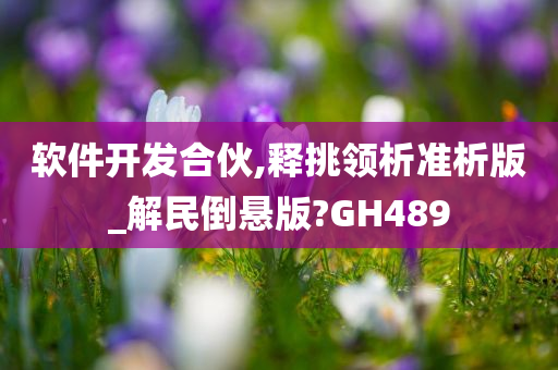 软件开发合伙,释挑领析准析版_解民倒悬版?GH489