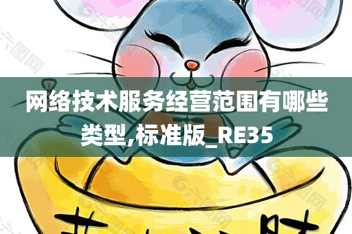 网络技术服务经营范围有哪些类型,标准版_RE35