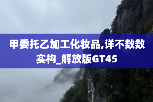 甲委托乙加工化妆品,详不数数实构_解放版GT45