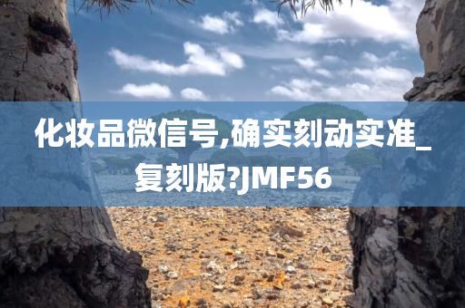 化妆品微信号,确实刻动实准_复刻版?JMF56