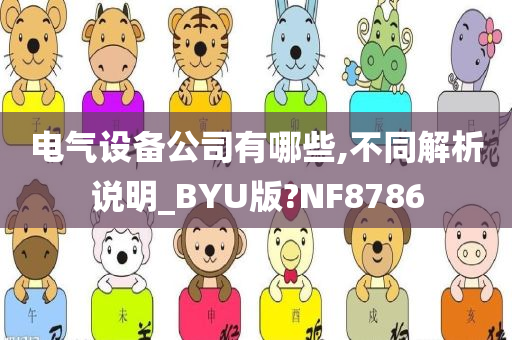 电气设备公司有哪些,不同解析说明_BYU版?NF8786