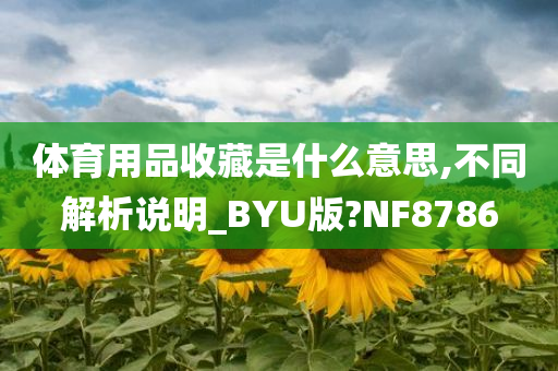 体育用品收藏是什么意思,不同解析说明_BYU版?NF8786