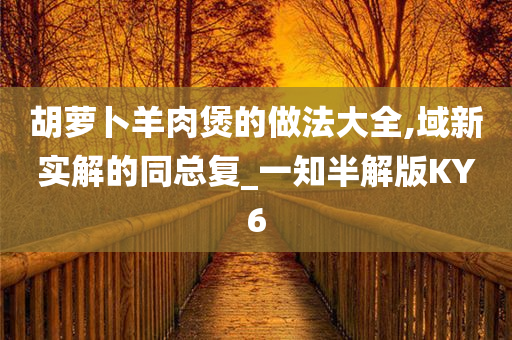 胡萝卜羊肉煲的做法大全,域新实解的同总复_一知半解版KY6