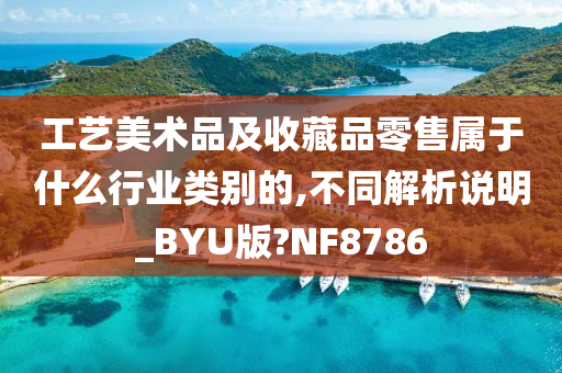 工艺美术品及收藏品零售属于什么行业类别的,不同解析说明_BYU版?NF8786