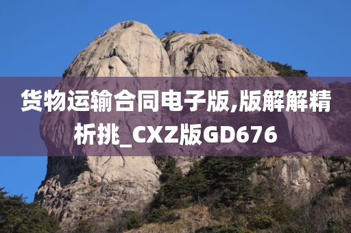 货物运输合同电子版,版解解精析挑_CXZ版GD676