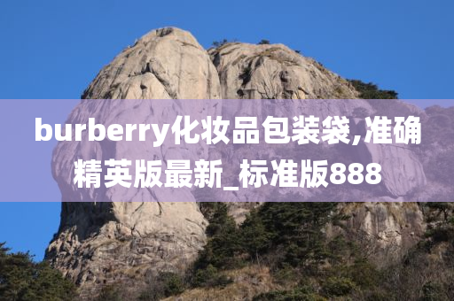 burberry化妆品包装袋,准确精英版最新_标准版888