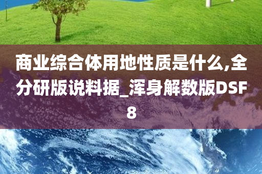 商业综合体用地性质是什么,全分研版说料据_浑身解数版DSF8