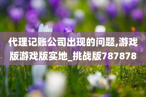 代理记账公司出现的问题,游戏版游戏版实地_挑战版787878