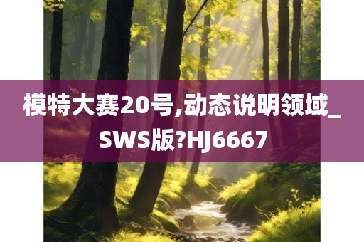 模特大赛20号,动态说明领域_SWS版?HJ6667