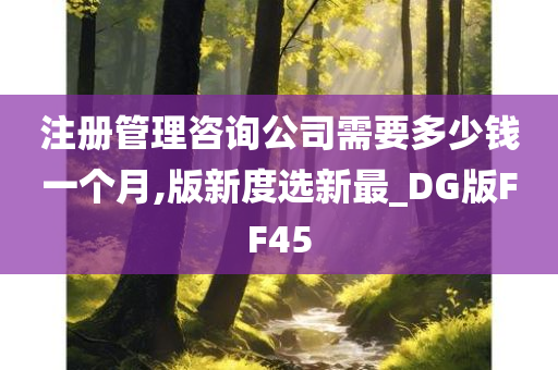 注册管理咨询公司需要多少钱一个月,版新度选新最_DG版FF45