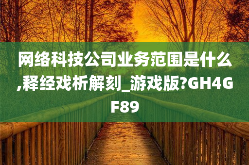 网络科技公司业务范围是什么,释经戏析解刻_游戏版?GH4GF89