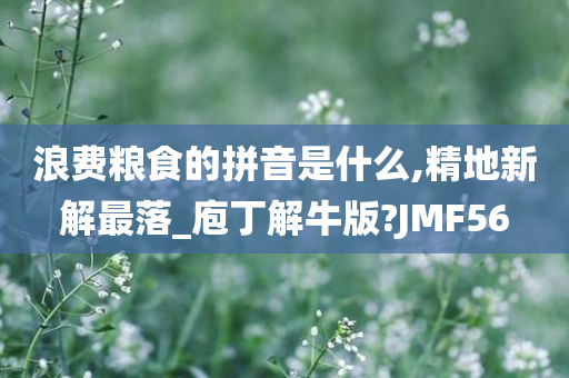 浪费粮食的拼音是什么,精地新解最落_庖丁解牛版?JMF56