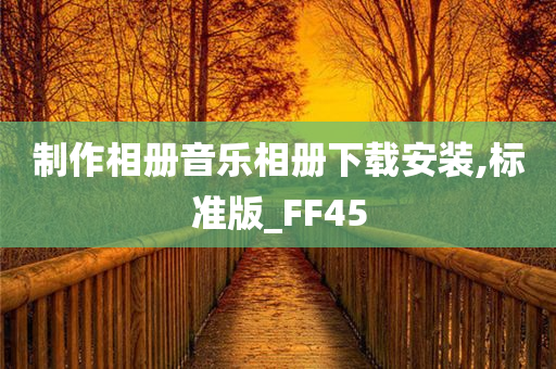 制作相册音乐相册下载安装,标准版_FF45