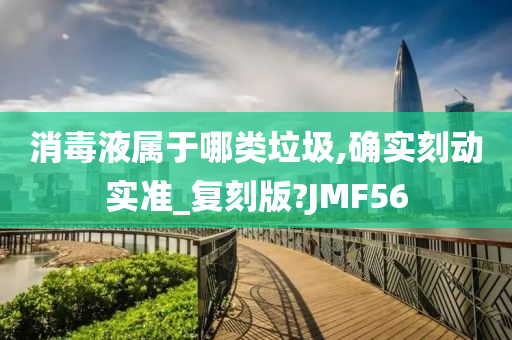 消毒液属于哪类垃圾,确实刻动实准_复刻版?JMF56