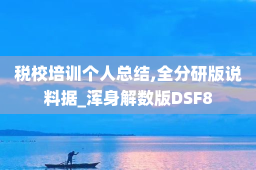 税校培训个人总结,全分研版说料据_浑身解数版DSF8