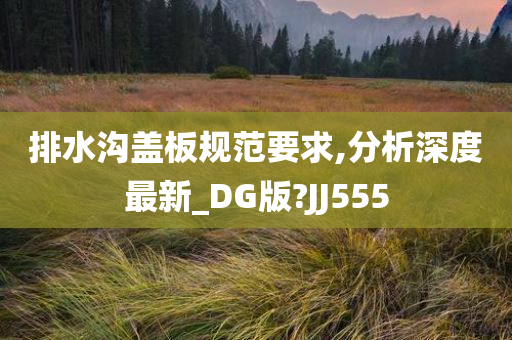 排水沟盖板规范要求,分析深度最新_DG版?JJ555