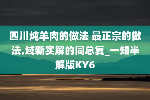 四川炖羊肉的做法 最正宗的做法,域新实解的同总复_一知半解版KY6