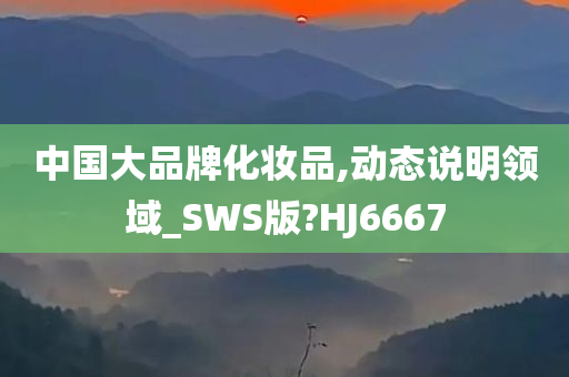 中国大品牌化妆品,动态说明领域_SWS版?HJ6667