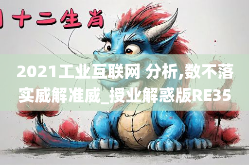 2021工业互联网 分析,数不落实威解准威_授业解惑版RE35