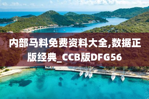 内部马料免费资料大全,数据正版经典_CCB版DFG56