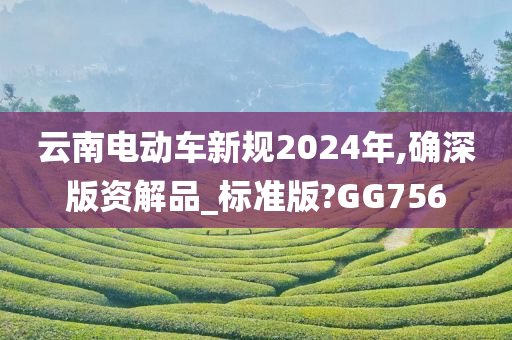 云南电动车新规2024年,确深版资解品_标准版?GG756