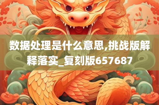 数据处理是什么意思,挑战版解释落实_复刻版657687