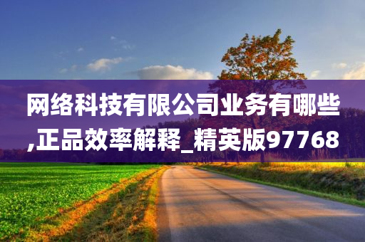 网络科技有限公司业务有哪些,正品效率解释_精英版97768