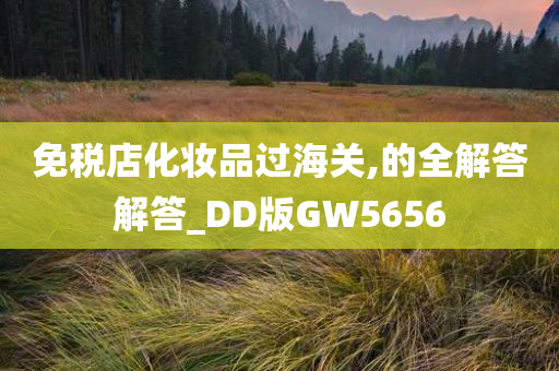 免税店化妆品过海关,的全解答解答_DD版GW5656