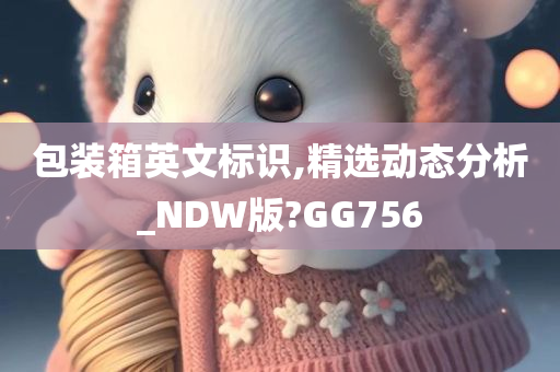 包装箱英文标识,精选动态分析_NDW版?GG756