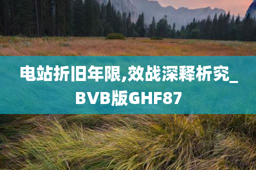 电站折旧年限,效战深释析究_BVB版GHF87