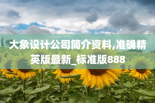 大象设计公司简介资料,准确精英版最新_标准版888