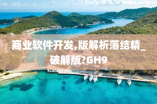 商业软件开发,版解析落结精_破解版?GH9