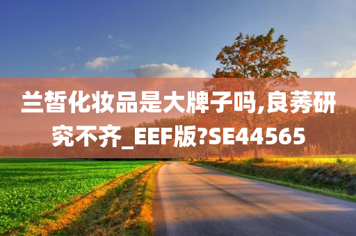 兰皙化妆品是大牌子吗,良莠研究不齐_EEF版?SE44565