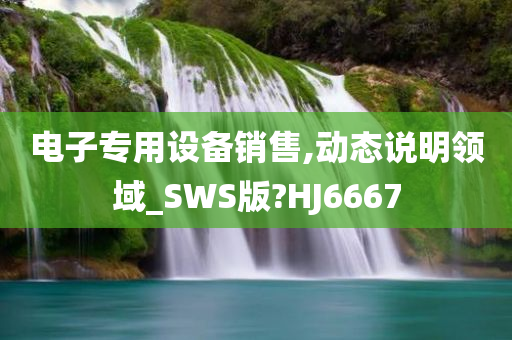 电子专用设备销售,动态说明领域_SWS版?HJ6667