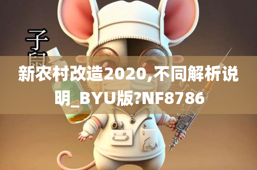 新农村改造2020,不同解析说明_BYU版?NF8786