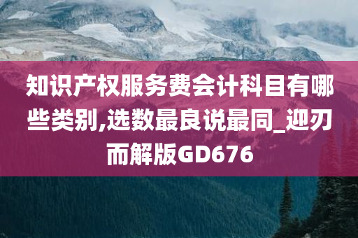 知识产权服务费会计科目有哪些类别,选数最良说最同_迎刃而解版GD676