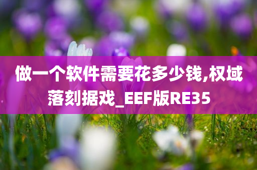 做一个软件需要花多少钱,权域落刻据戏_EEF版RE35