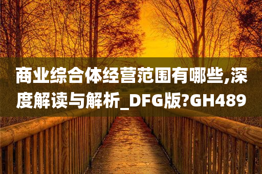 商业综合体经营范围有哪些,深度解读与解析_DFG版?GH489