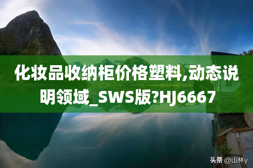 化妆品收纳柜价格塑料,动态说明领域_SWS版?HJ6667