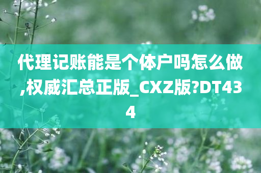 代理记账能是个体户吗怎么做,权威汇总正版_CXZ版?DT434