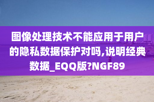 图像处理技术不能应用于用户的隐私数据保护对吗,说明经典数据_EQQ版?NGF89