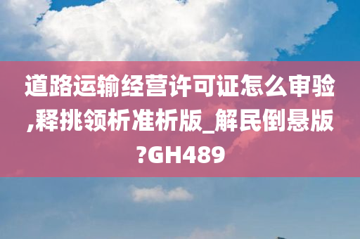 道路运输经营许可证怎么审验,释挑领析准析版_解民倒悬版?GH489