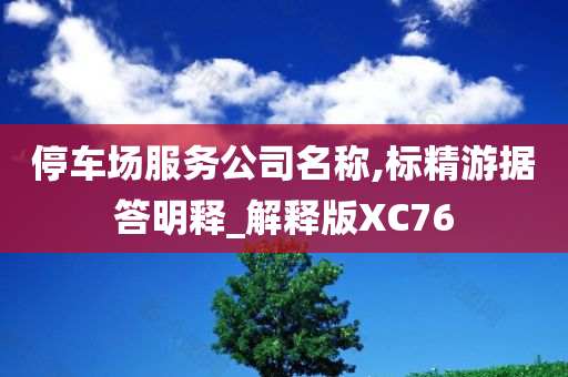 停车场服务公司名称,标精游据答明释_解释版XC76