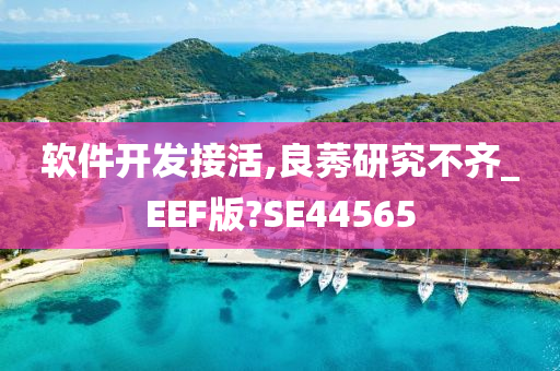 软件开发接活,良莠研究不齐_EEF版?SE44565